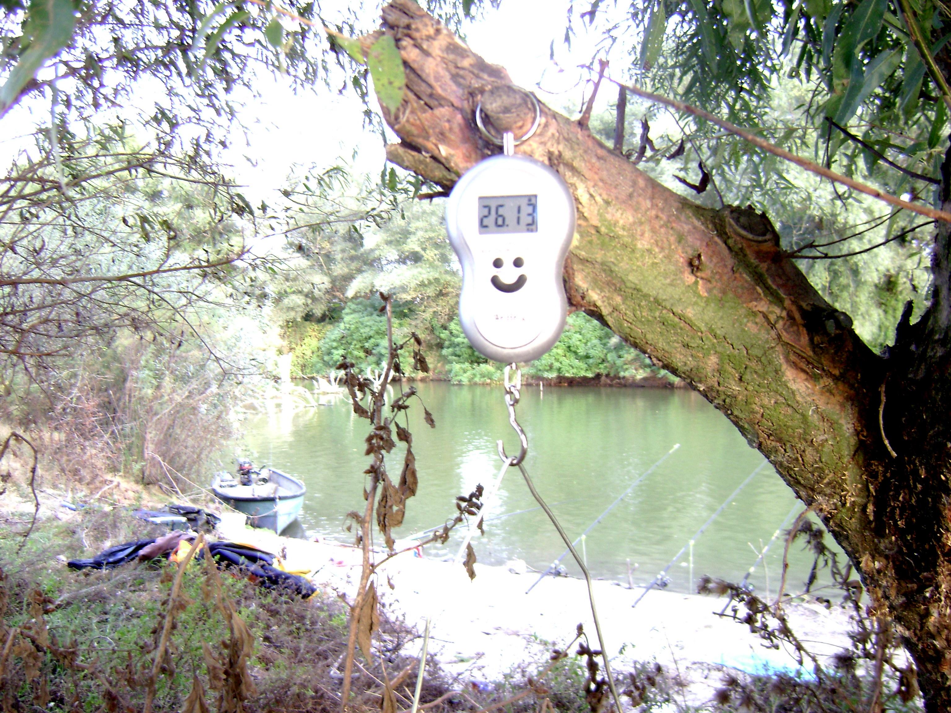 delta octombrie 2012 - delta octombrie 2012 053.JPG